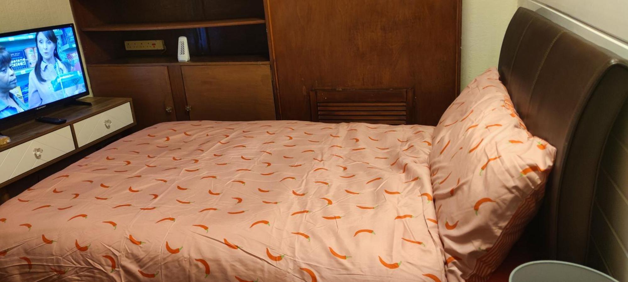 Homestay Well Furnished In London